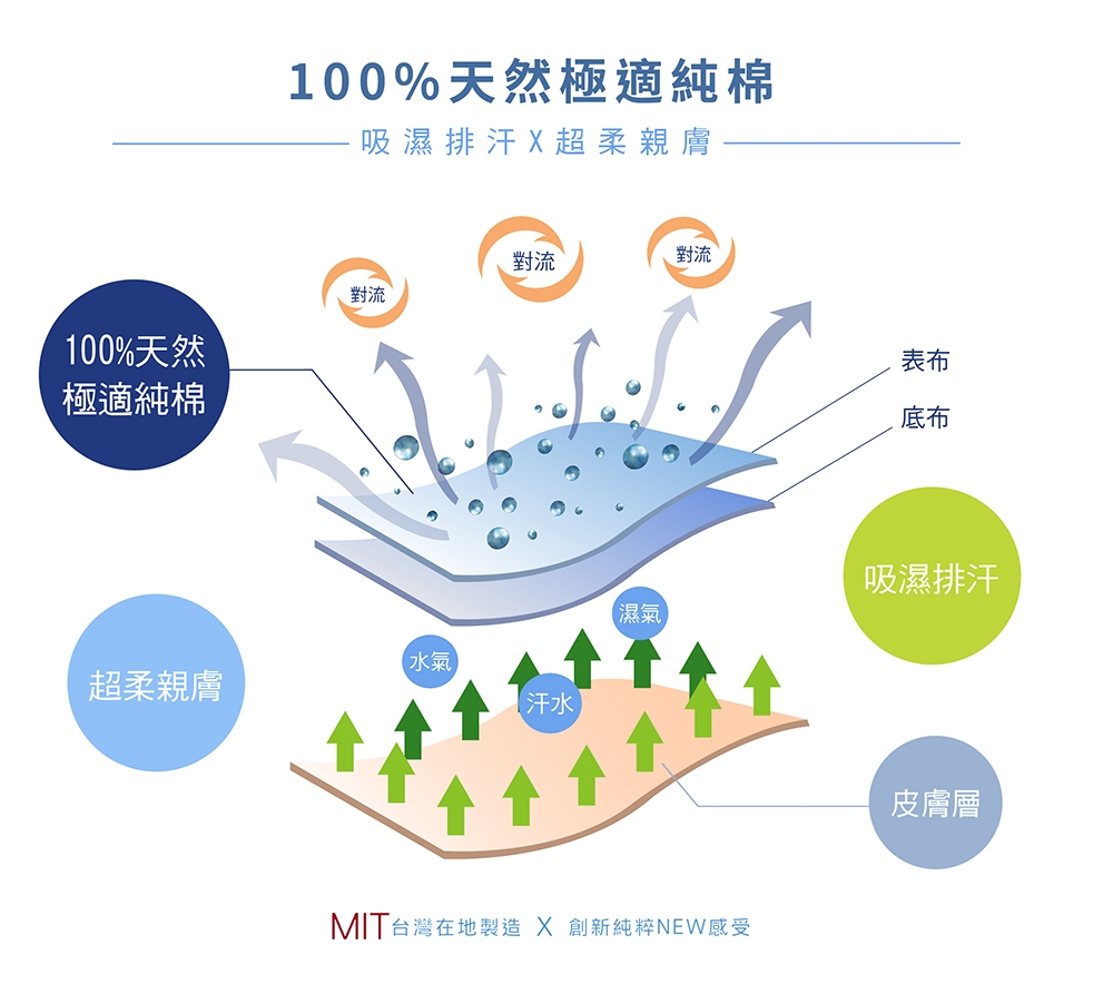 DUYAN竹漾-100%精梳純棉-單人床包被套三件組-班奈特先生 台灣製