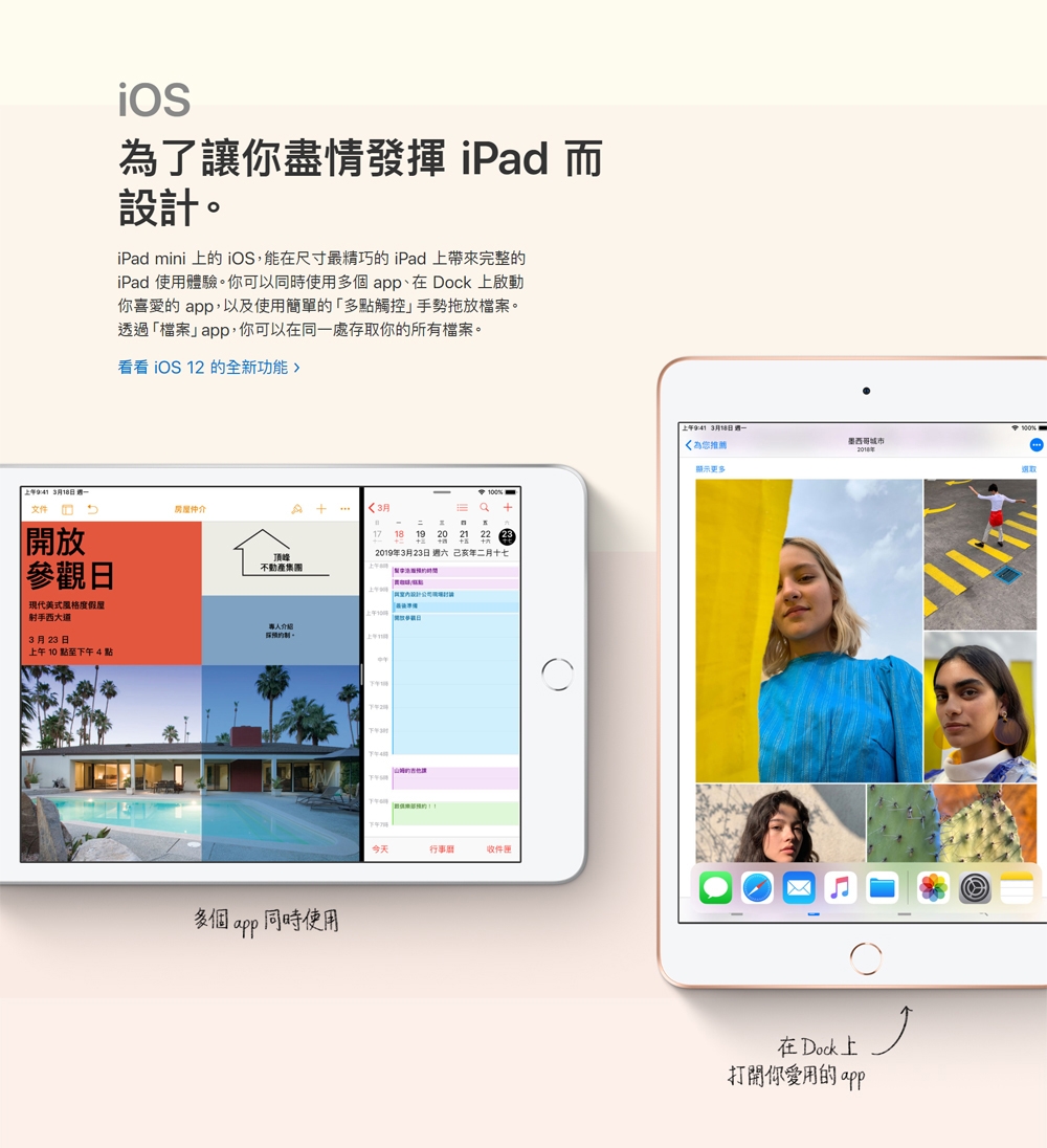 Apple 2019 iPad mini 5 7.9吋 WiFi 256G平板電腦