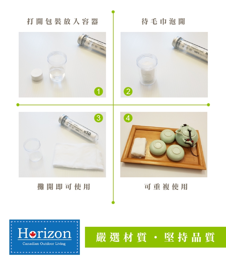 Horizon 天際線極致純棉隨身毛巾/壓縮毛巾(10入裝)