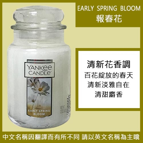 YANKEE CANDLE 香氛蠟燭 623g-報春花