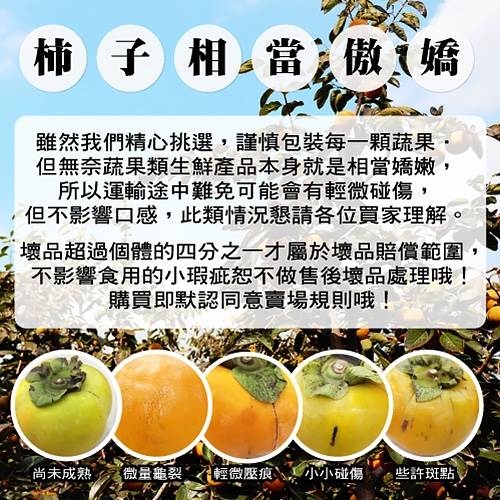 【天天果園】摩天嶺高山9A甜柿8顆(每顆260g-300g)