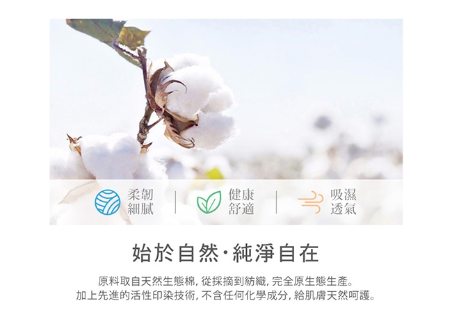 Betrise 加大 100%精梳純棉防蹣抗菌四件式兩用被床包組-多款任選