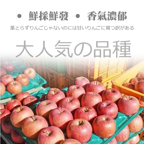 買10送10【天天果園】日本大顆蜜蘋果 共20顆(每顆約200g)
