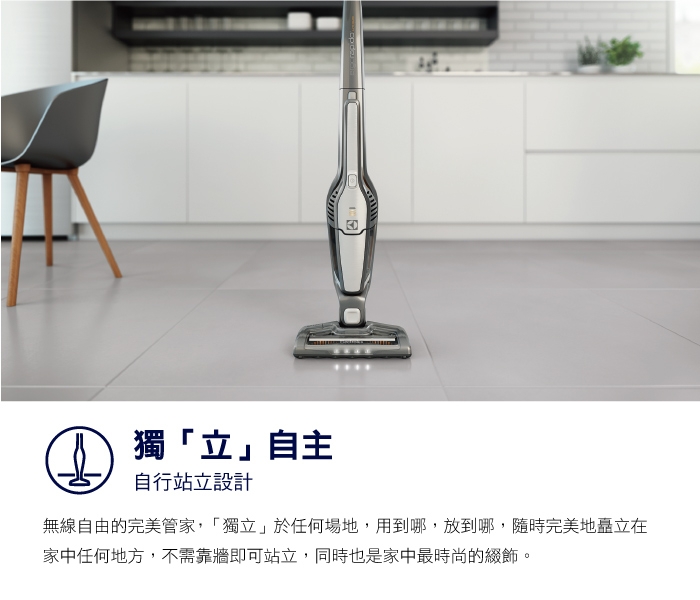 超值福利品 Electrolux 伊萊克斯完美管家吸塵器ZB3113鋼鐵灰