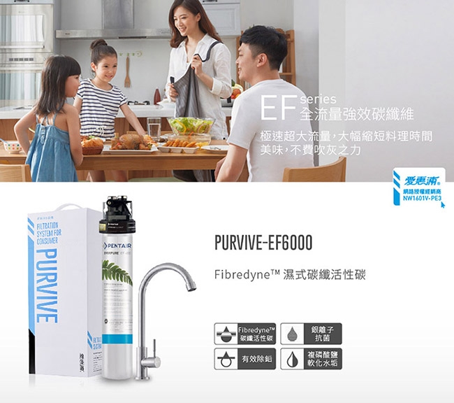 愛惠浦 EF series全流量強效碳纖維系列淨水器 EVERPURE PURVIVE-EF6000