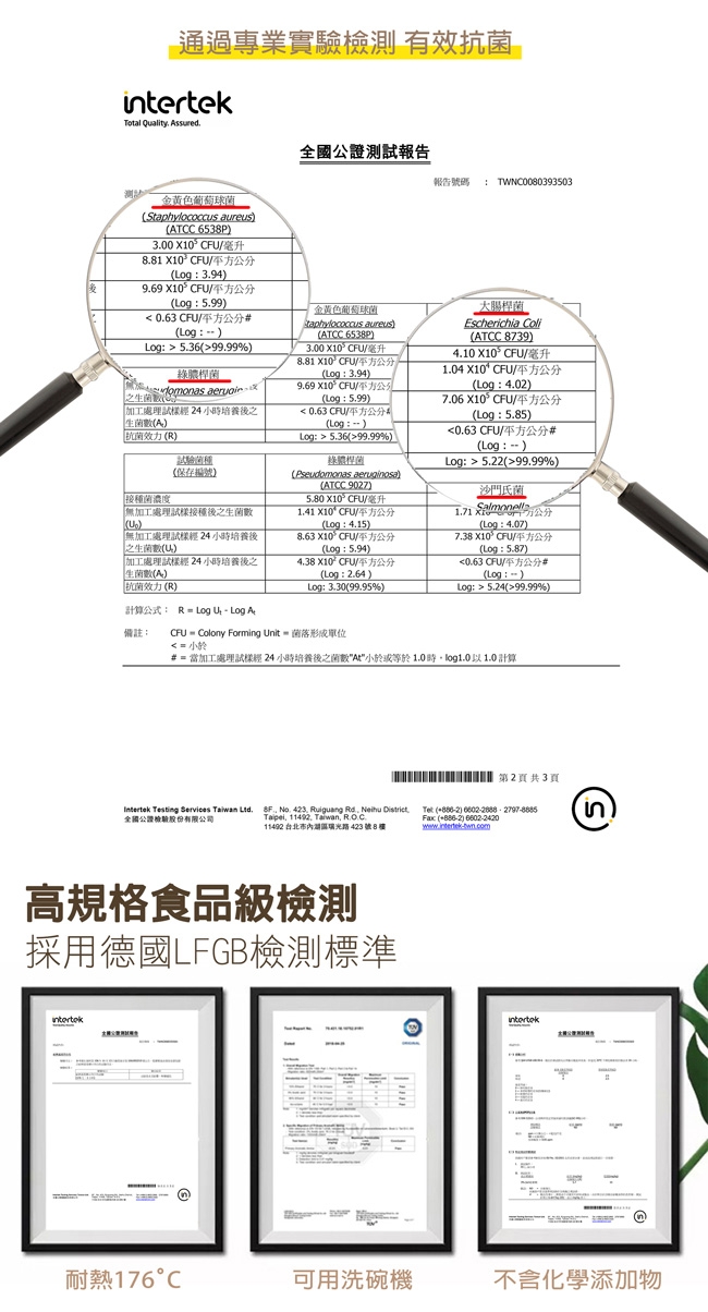 GOLD LIFE 美國原木不吸水抗菌砧板 M (食品級 / 切肉切菜砧)