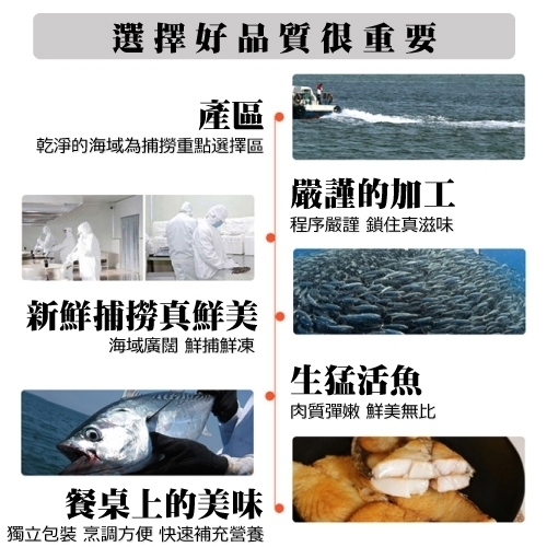 買10送10【海陸管家】嚴選優質無肚洞土魠魚 共20片(每片約100g)