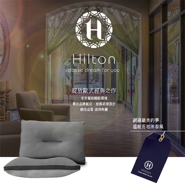 Hilton 希爾頓 五星級竹炭4D透氣雪花枕
