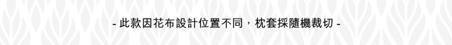 翔仔居家 天絲雙人兩用被套床包組(小步舞曲) 親膚涼爽 台灣製