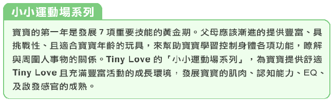 Tiny Love 小小運動場系列-特大豪華聲光遊樂毯