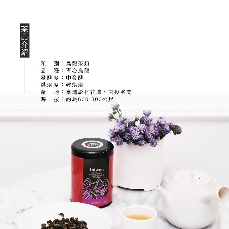 【DODD Tea 杜爾德】精選梔子花烏龍茶-2兩(75g)