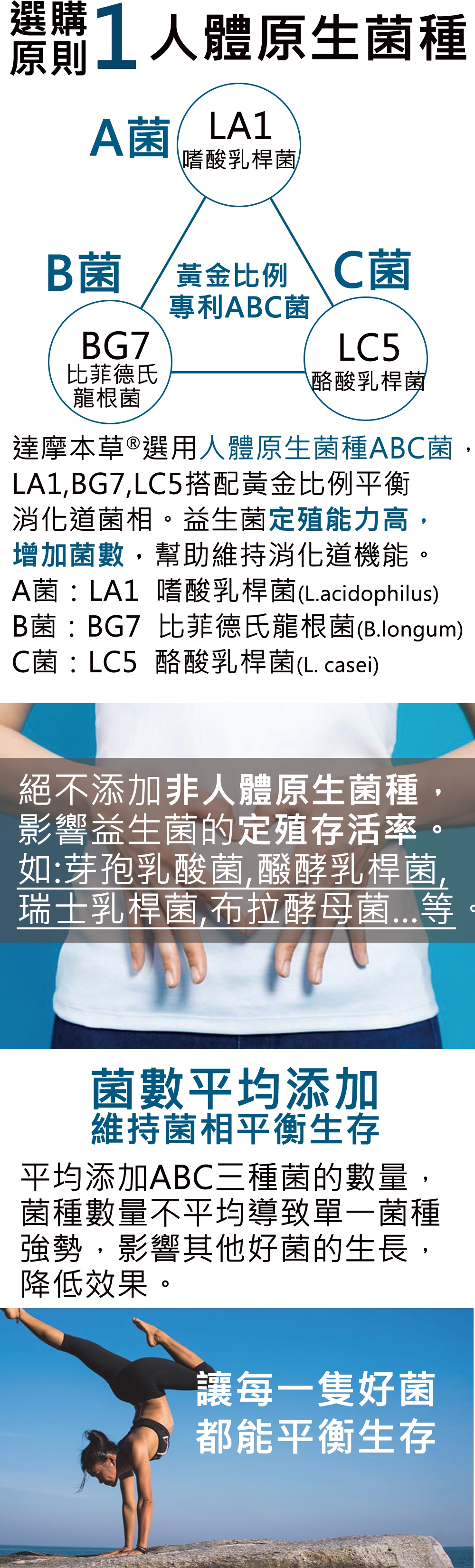 可折折價券 達摩本草 五國專利0億abc益生菌30入 包x3包 機能保健 Yahoo奇摩購物中心