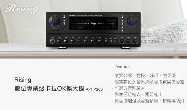 【金嗓】金牌歌王卡拉OK超值組 CPX-900 A1