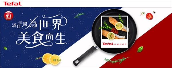 Tefal法國特福 饗宴系列24CM不沾平底鍋(電磁爐適用)(快)