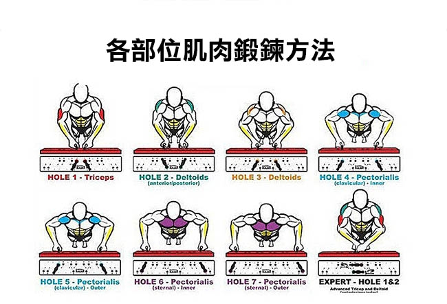 【Concern 康生】銀炫極速風火輪 健腹輪+伏地挺身鍛鍊輔助器