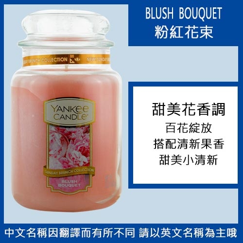 *YANKEE CANDLE 香氛蠟燭 623g多款任選