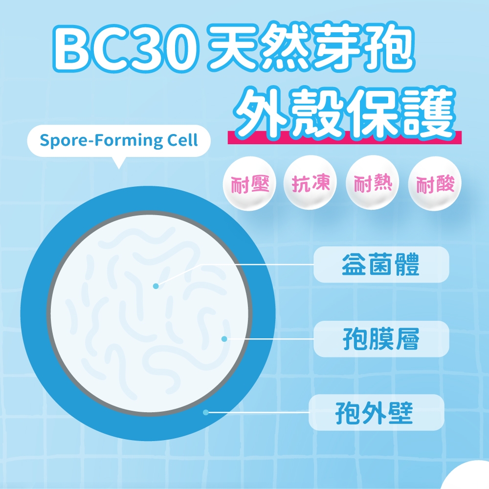 BC30 天然芽孢外殼保護Spore-Forming Cell耐壓抗凍耐熱耐酸益菌體孢膜層孢外壁