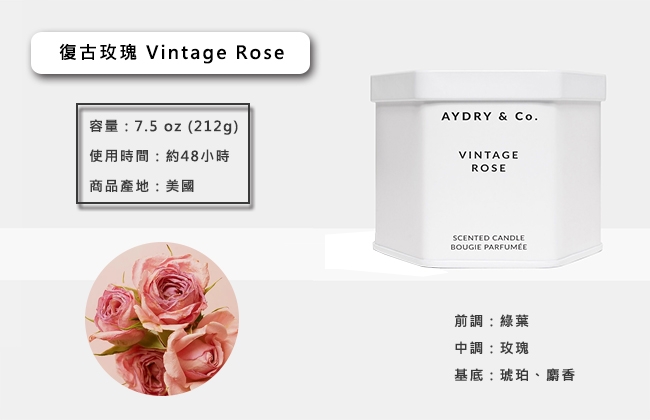 美國 AYDRY & CO. 復古玫瑰 天然手工香氛 極簡純白錫罐 212g