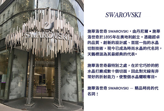 SWAROVSKI 施華洛世奇 黑天鵝水晶耳環