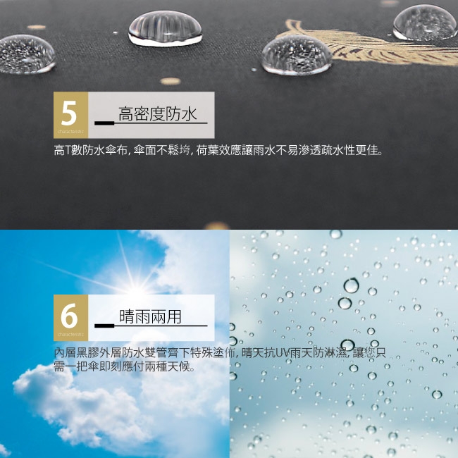 傘霸 燙金羽毛晴雨兩用傘 (兩入組)