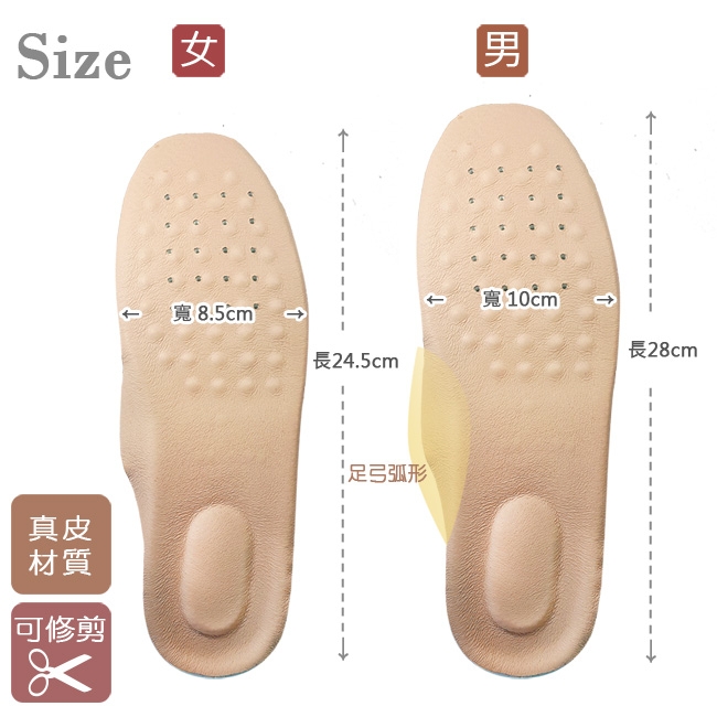 足的美形 真皮乳膠透氣鞋墊 (1雙)