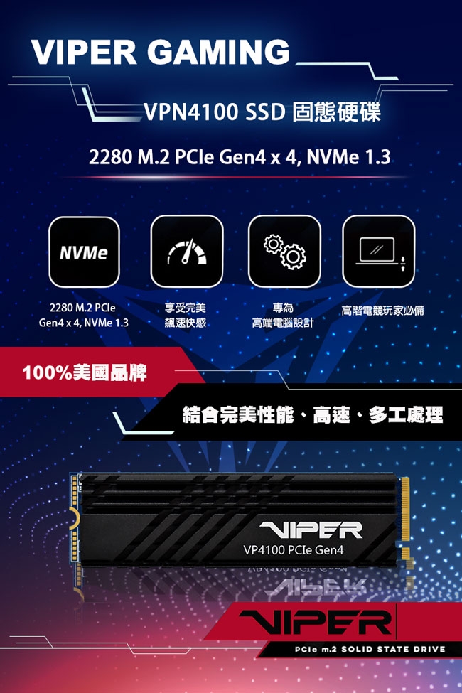 VIPER美商博帝 VP4100 2TB M.2 2280 PCIE SSD固態硬碟