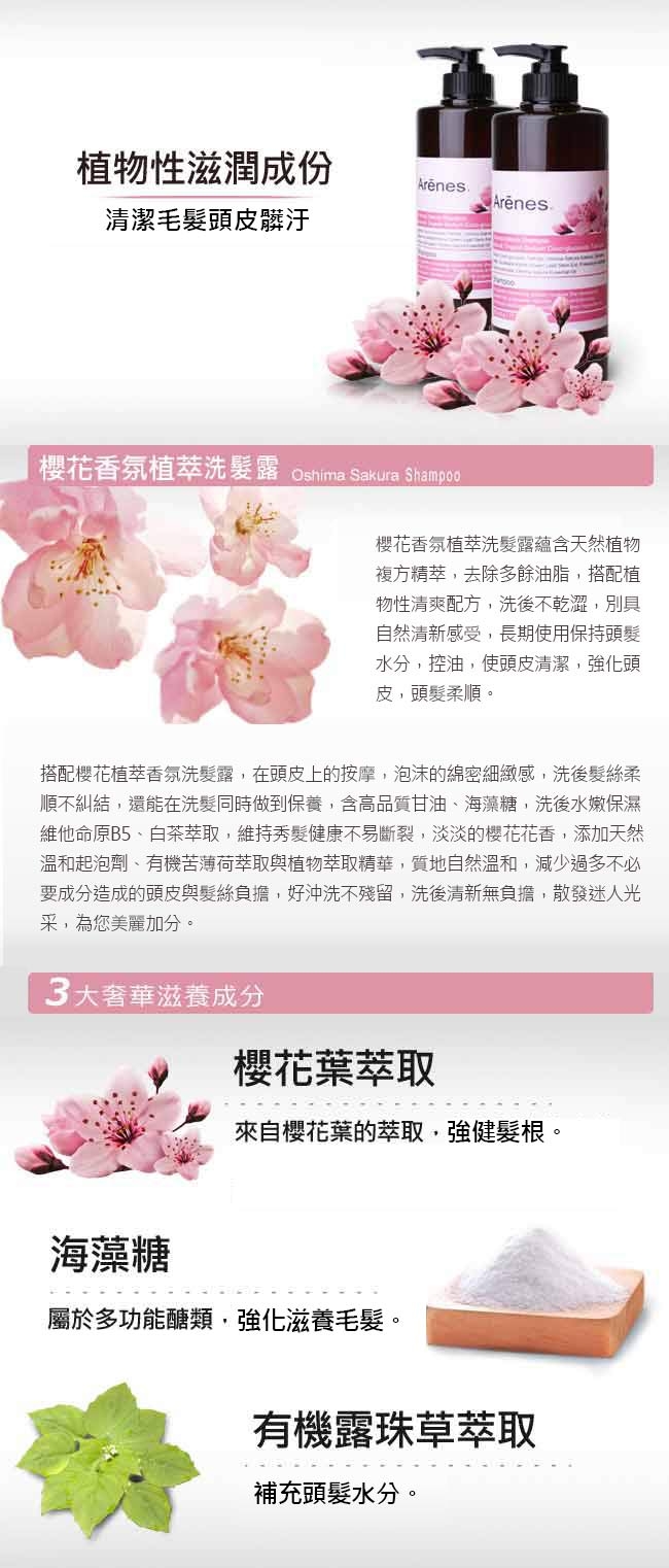 Arenes水漾櫻花聖誕禮盒(櫻洗+櫻沐+櫻皂+玫身+聖誕禮盒+牛皮大提袋)