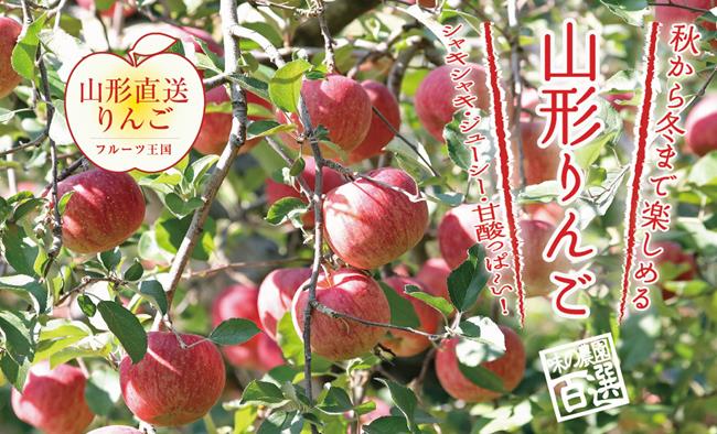 【天天果園】日本原裝山形縣蜜蘋果2kg禮盒(6-8顆)