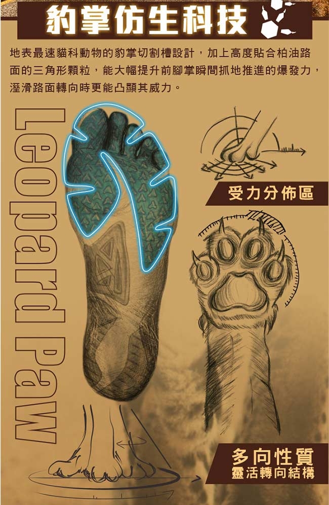 【ZEPRO】男子雲豹 LEOPARD 系列競速路跑鞋-藍綠