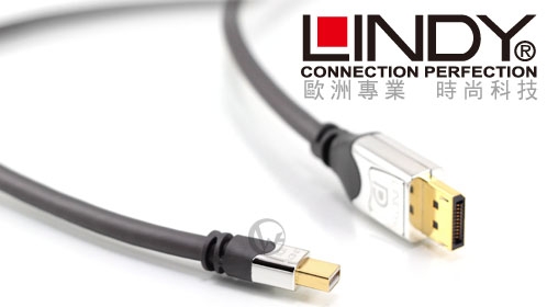 LINDY mini-DP公 對 DP公 1.3版 數位連接線 1m (41551)