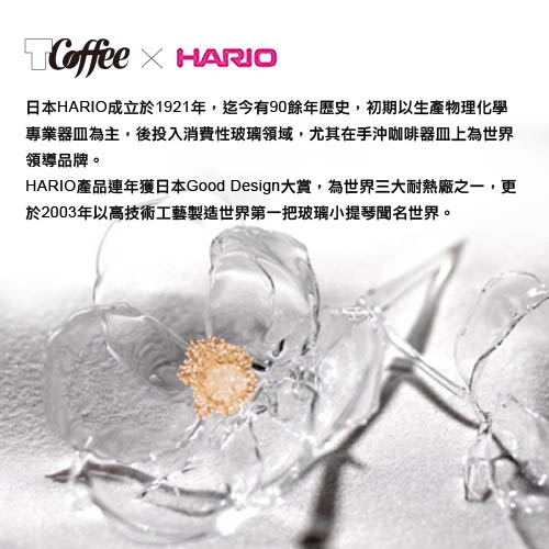 福利品TCoffee HARIO水滴式冰滴咖啡壺(咖啡壺 600ml、丸型濾紙50張)