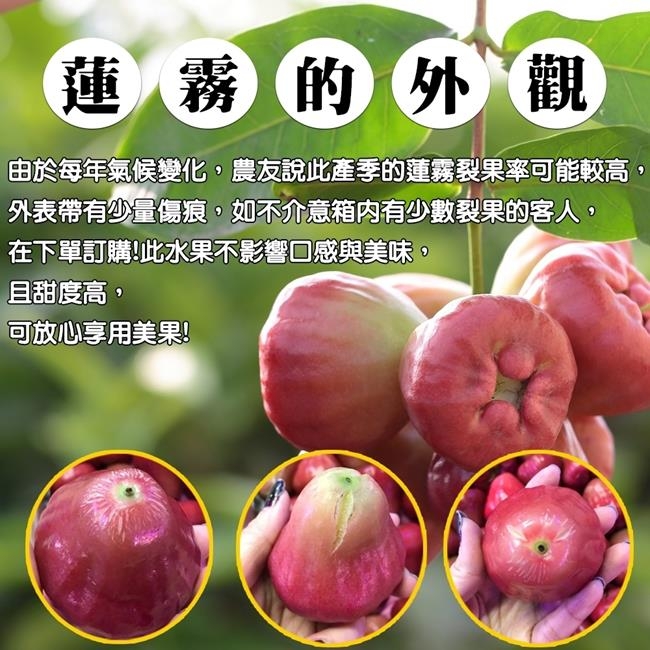 【天天果園】嚴選南投黑珍珠禮盒2kg(10-12入/盒)