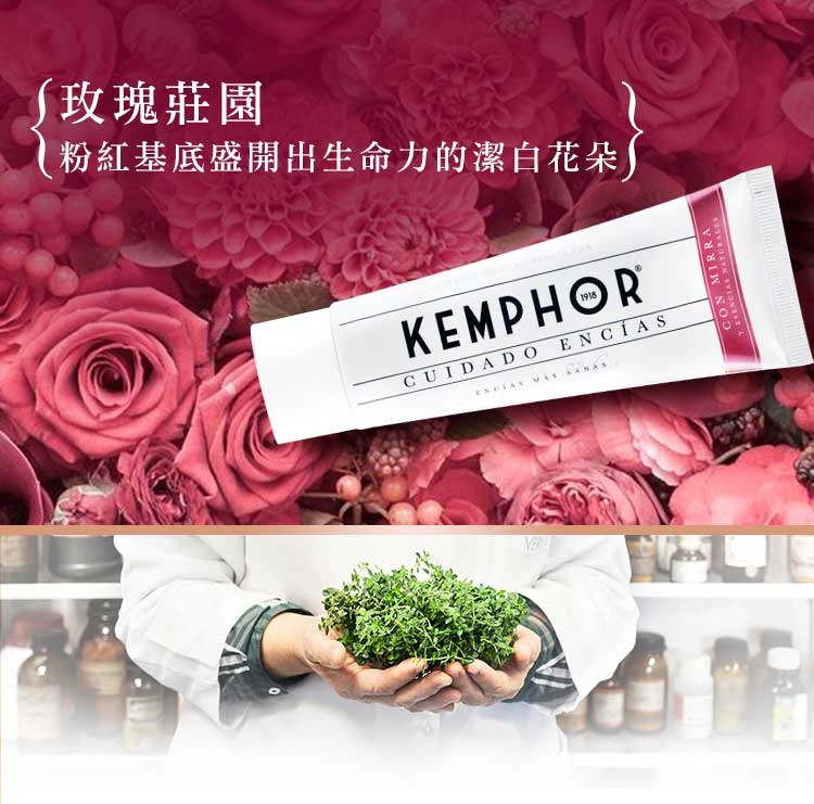 KEMPHOR1918年經典護齦牙膏-75ml玫瑰金(三入組)