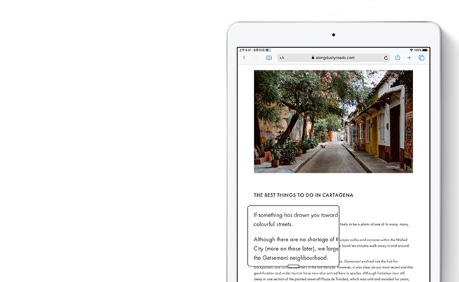 Apple iPad Wi-Fi 32GB 10.2吋 平板(2019新款)