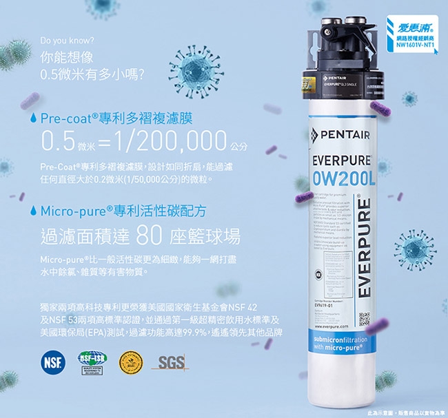 愛惠浦 全效系列濾芯 EVERPURE OCS2 到府安裝