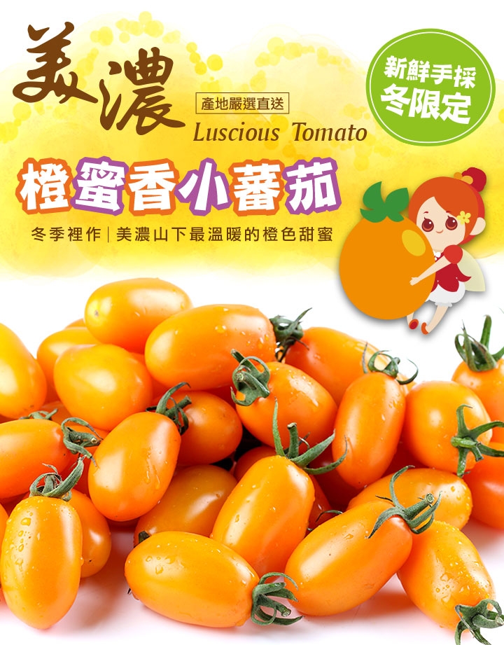 【愛上鮮果】美濃鮮採橙蜜香小蕃茄6斤(禮盒裝/3斤裝)