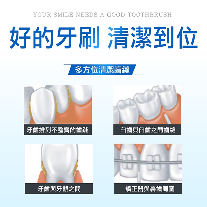 Twin Lotus雙蓮 皇室草本雙重細毛清潔牙刷