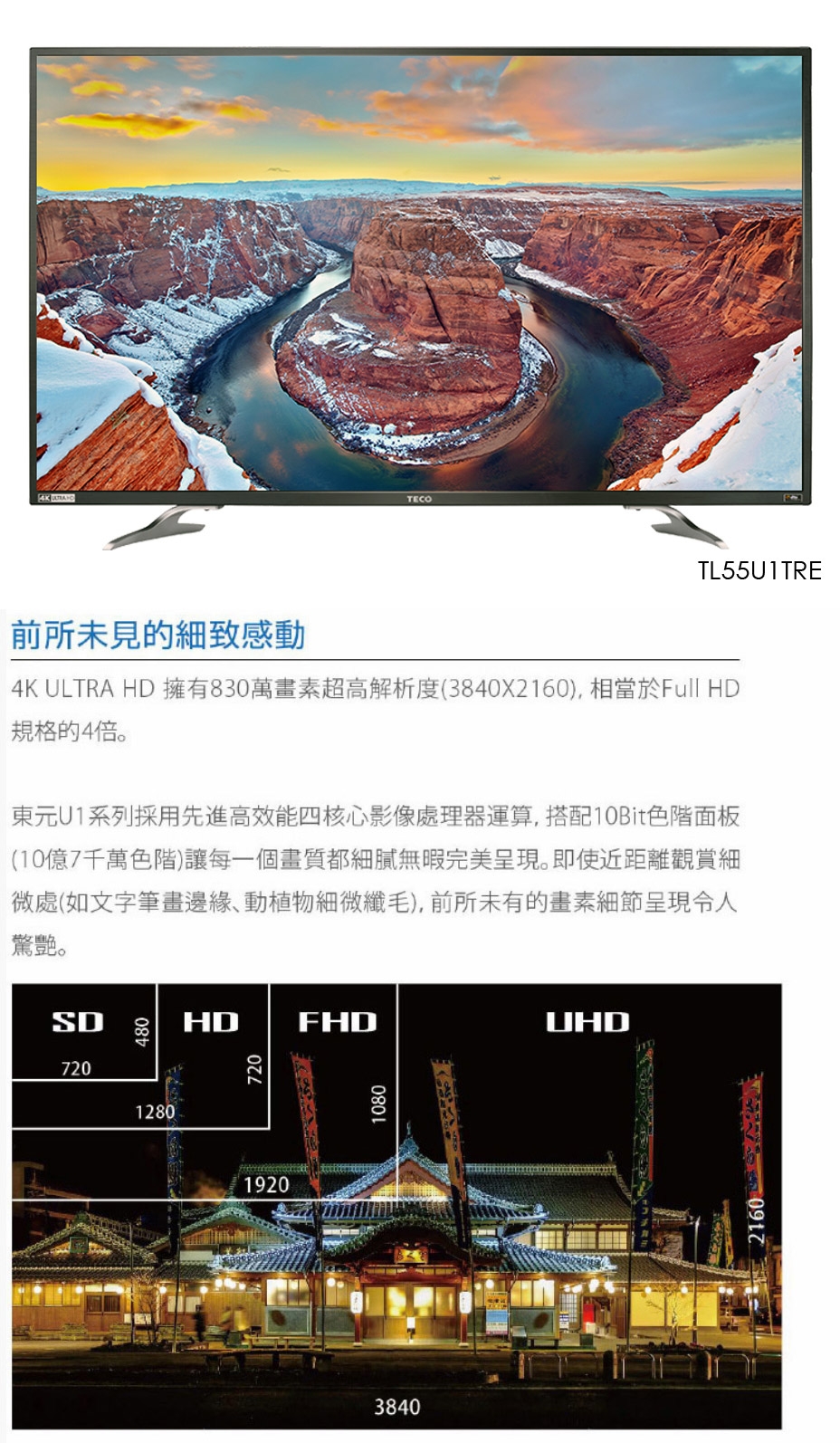 TECO東元 55吋 4K連網顯示器+視訊卡TL55U1TRE