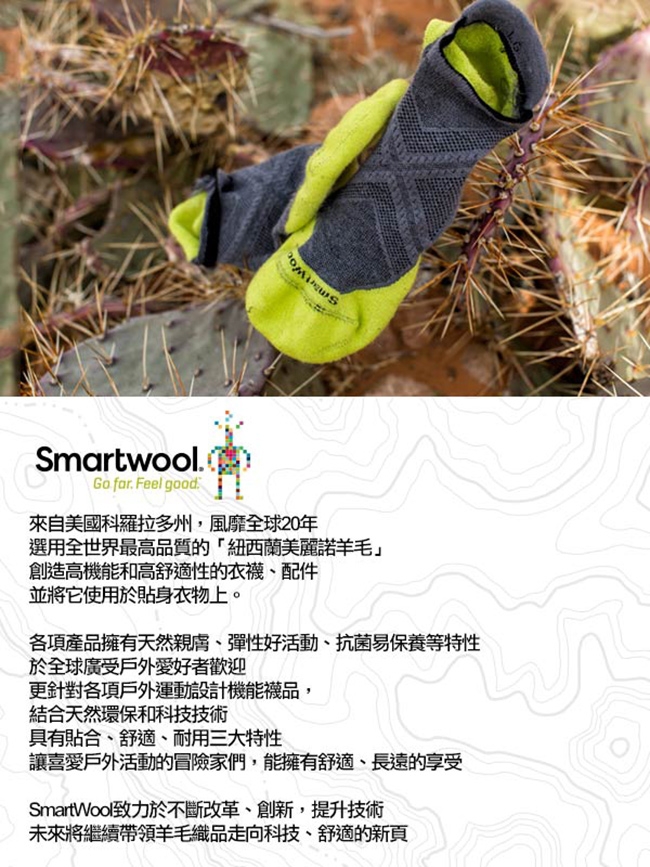SmartWool PhD滑雪超輕量減震PRINT高筒襪-山中智者 荳蔻褐