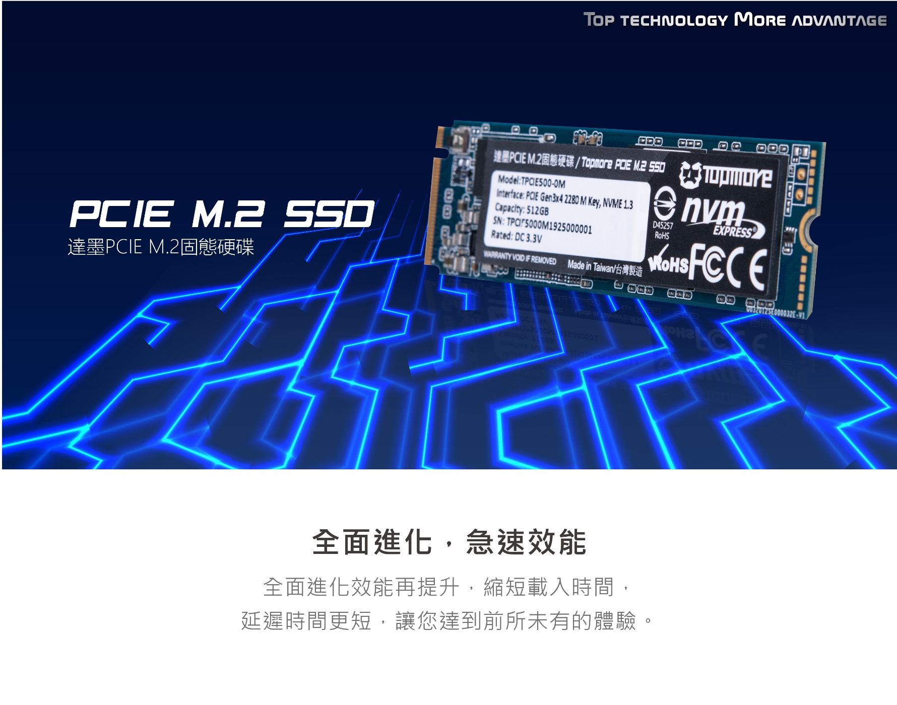 達墨 TOPMORE PCIE M.2 SSD 內接式硬碟 1TB