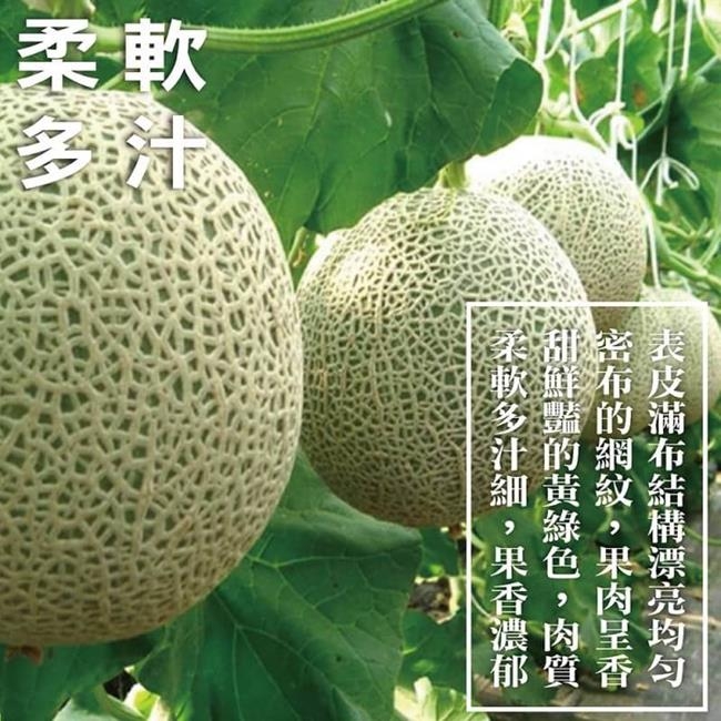 【天天果園】韓國大顆綠哈密瓜禮盒5kg(2顆入)