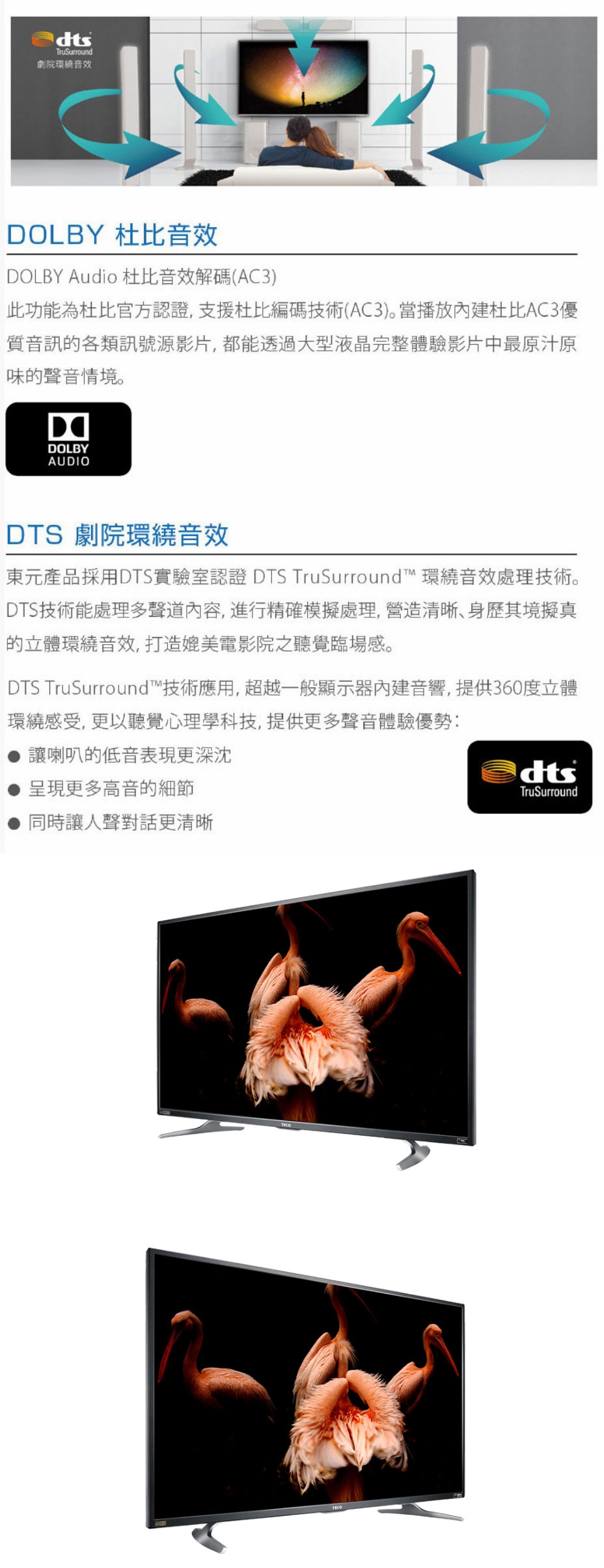 TECO東元 55吋 4K連網顯示器+視訊卡TL55U1TRE