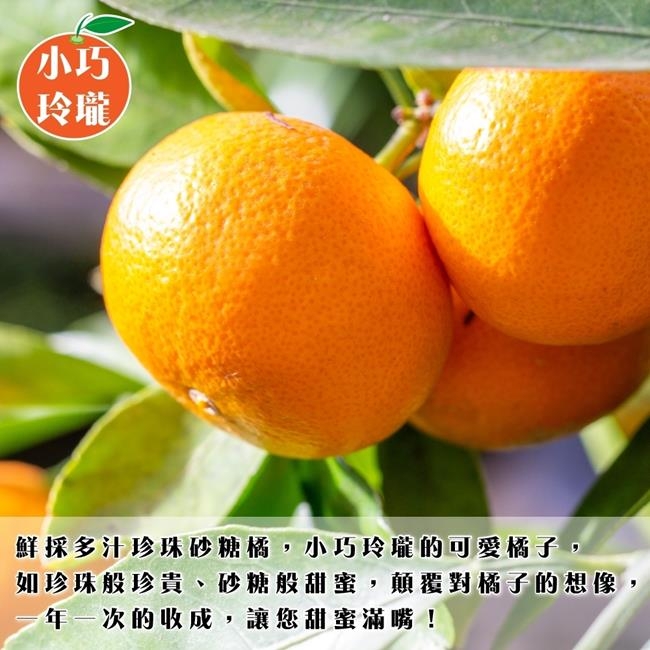 買1送1【果農直配】南投老欉珍珠砂糖橘禮盒5斤，共2箱