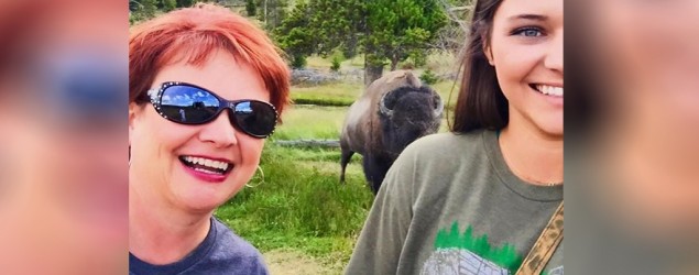 A Mississippi woman was flipped and tossed by a bison at Yellowstone National Park. (ABC News)