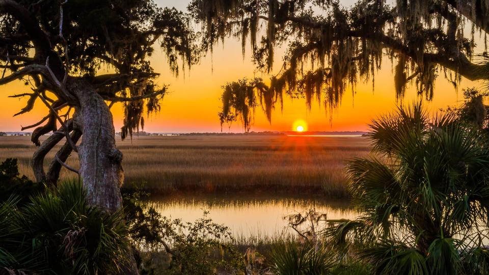 Cumberland Island, Georgia.