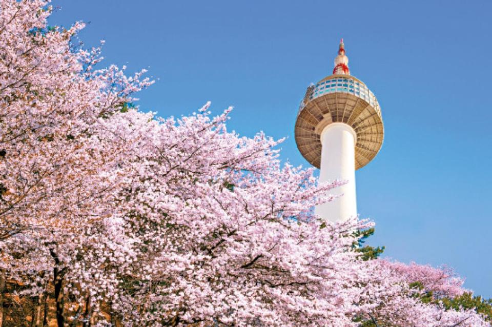 首爾 南山公園 南山塔