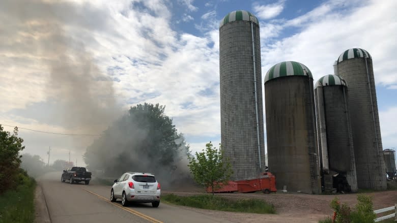 'How can we rebuild with all this mess?' Fire destroys dairy barn, kills cows