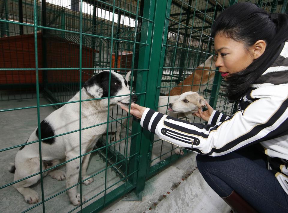 Vanessa Mae pets dogs at the PovoDog dog shelter near Sochi