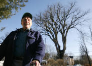 FILE - In this Dec. 14, 2009 file photo, Frank Knight, 101, of Yarmouth, Maine, stands in front of an elm tree known as "Herbie" in Yarmouth. Knight took care of the tree for about 50 years while working as the Yarmouth tree warden. The tree, estimated to be 217 years old, was cut down Jan. 19, 2010 after suffering numerous bouts of Dutch elm disease. "Herbie" may be gone, but he'll live on in cloned trees that are now being made available to the public. (AP Photo/Steven Senne, File)