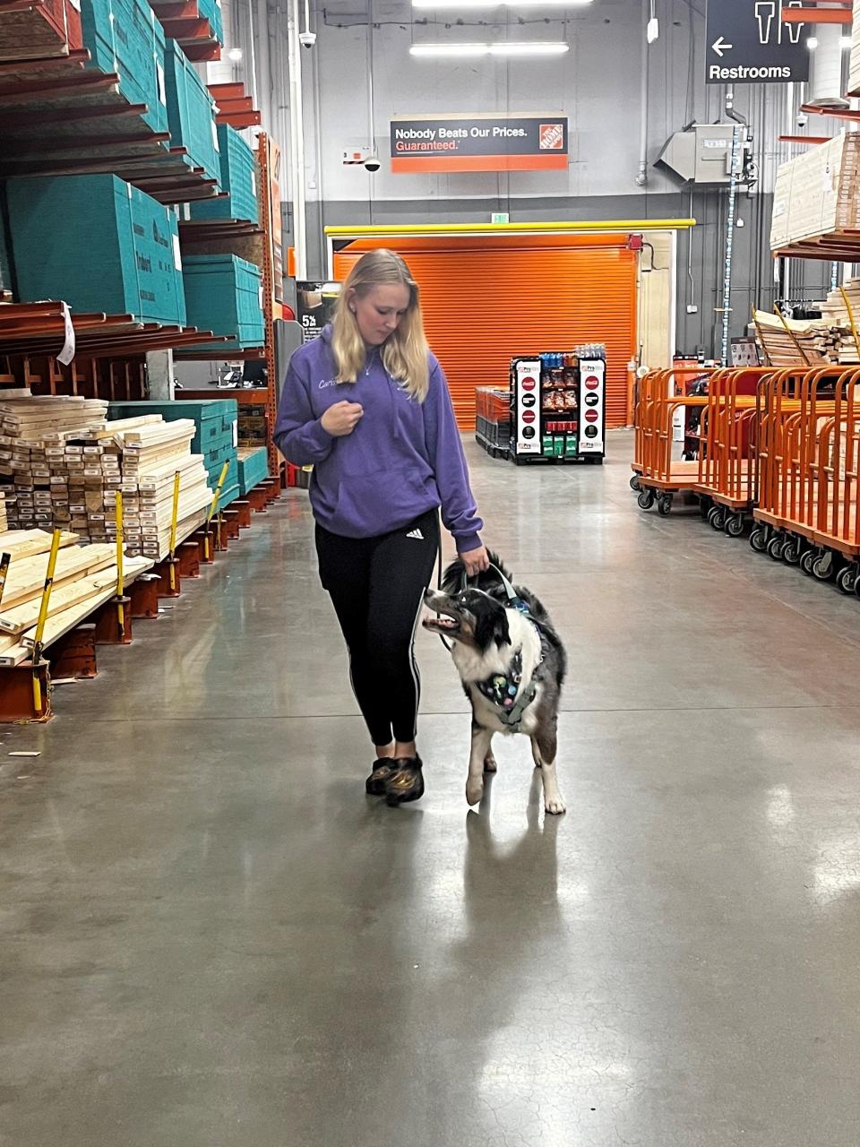 Carissa Tank, owner of Scar's AUSSome Training, takes her service dog Scar into public spaces like stores where his support is necessary. He is trained in mobility tasks and preventing and alerting panic attacks.